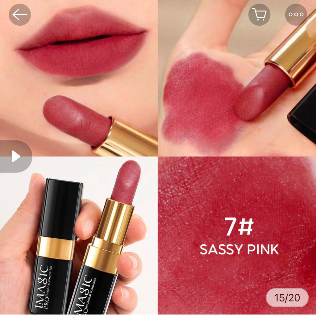IMAGIC Matte Colour Lipstick (9 Shades)